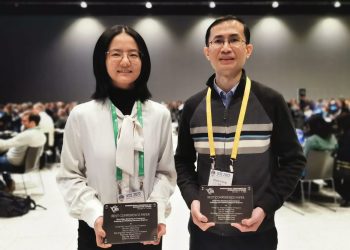 ICIS_Best_Conference_Paper_Award_2